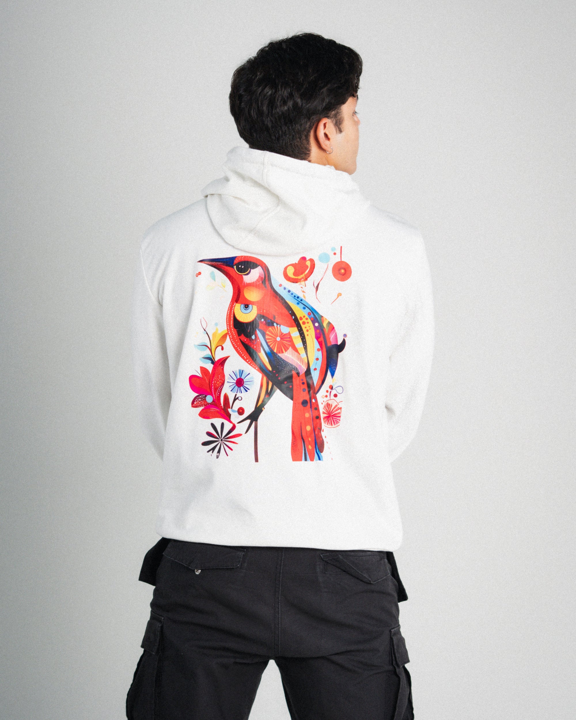 Hoodie Aurora Hombre